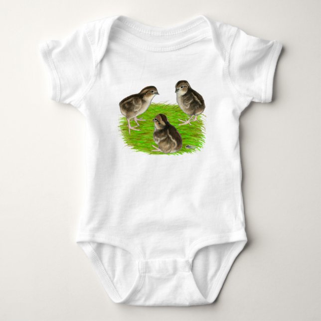 Body Jeunes cailles de Bobwhite (Devant)