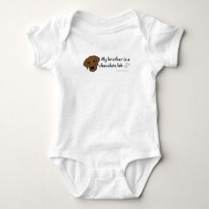 Body labrador chocolat