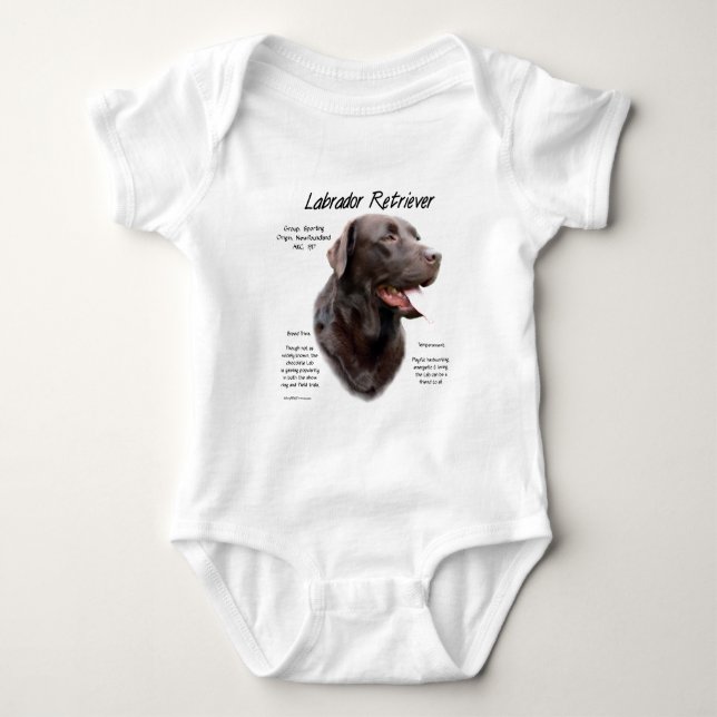 Body Labrador Retriever (chocolat) Histoire Conception (Devant)