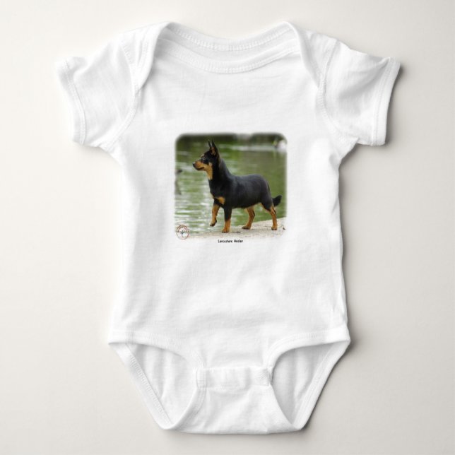 Body Lancashire Heeler 9R038D-013 (Devant)