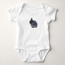 Lapin de Ferme
