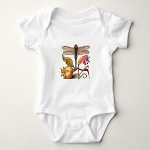 Body Libellule Botanique Nature Faune