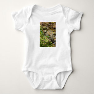 Body Lit de roche North Wears Creek