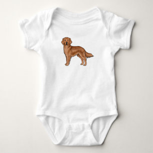 Body Mahogany Red Golden Retriever adorable Dessin dess
