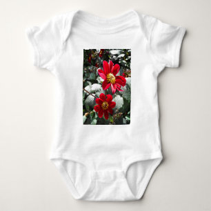 Body marguerite rose chaud rouge / marguerites fleurs