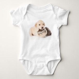 Body mignon petit chat dort dans les mains du chien