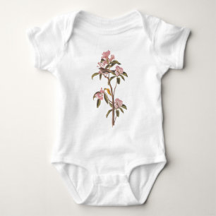 Body Oiseau Audubon de Cuvier sur Fleur rose