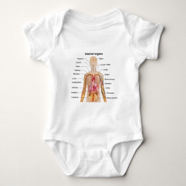 Body Organes internes importants dans le diagramme de (Devant)