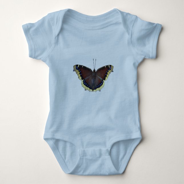 Body Papillon en deuil - Nymphalis antiopa (Devant)