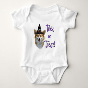 Body Pembroke Welsh Corgi Trick