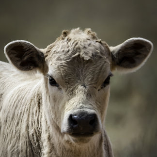 Body Perfect fit for after that perfect filling feeding