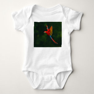 Body Perroquet en vol