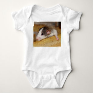 Body Petit Rat