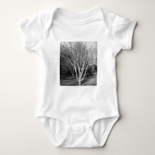 Body Photo Carrée - Arbre