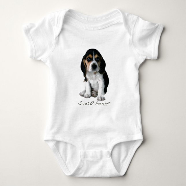 Body Photographie de chiot de beagle (Devant)