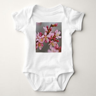 Body Pink Against A Gray Sky Japanese Cherry Blossoms