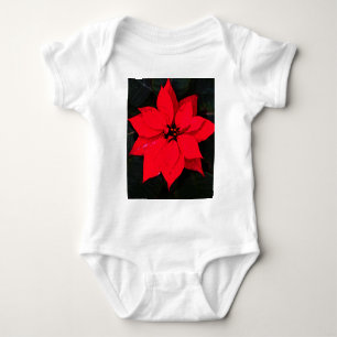 Body Poinsettia 6078