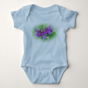 Body Pois de plage - Lathyrus japonicus - Fleur sauvage