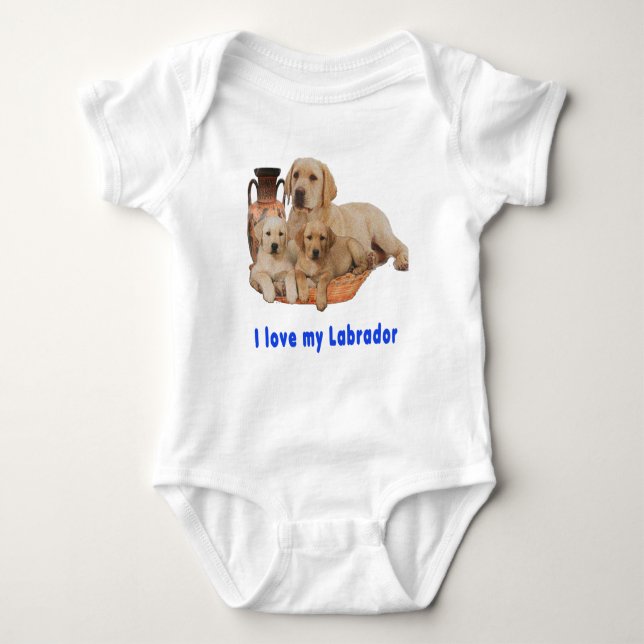 Body Retriever du Labrador (Devant)