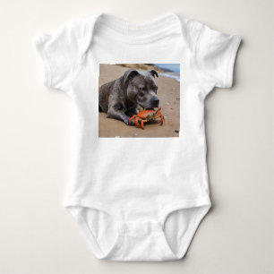 Body Staffy Est Des Amis Avec Un Crabe De Plage,