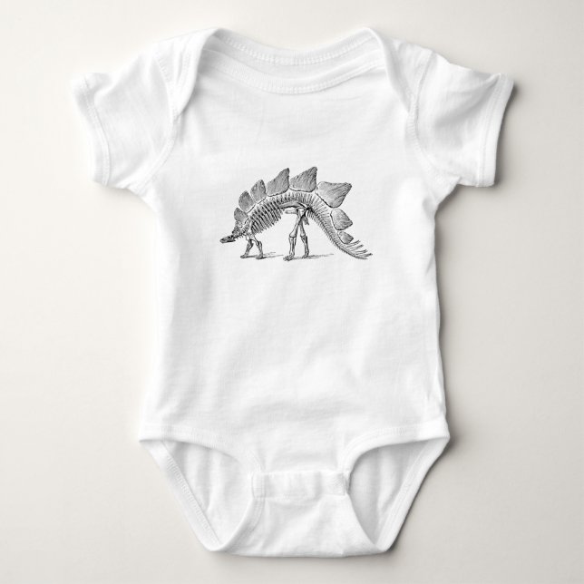 Body Stegosaurus Dinosaure Squelette Fossile (Devant)