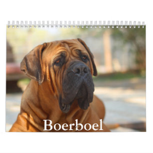 Boerbol chien Calendrier