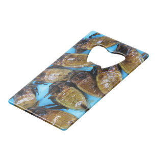 Bogue d'eau géante frite (Maeng Daa) ... Alimentat