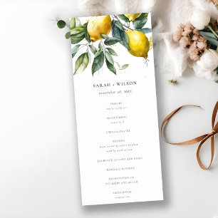 Boho Minimal Yellow Lemon Garden Programme de mari