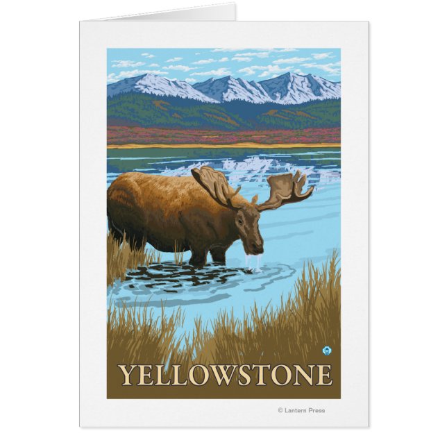 Boire de l'orignal au lac - Yellowstone National (Devant)