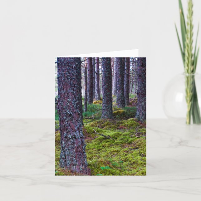 Bois Carte de voeux (Devant)
