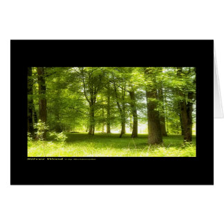 Bois d'argent (carte)