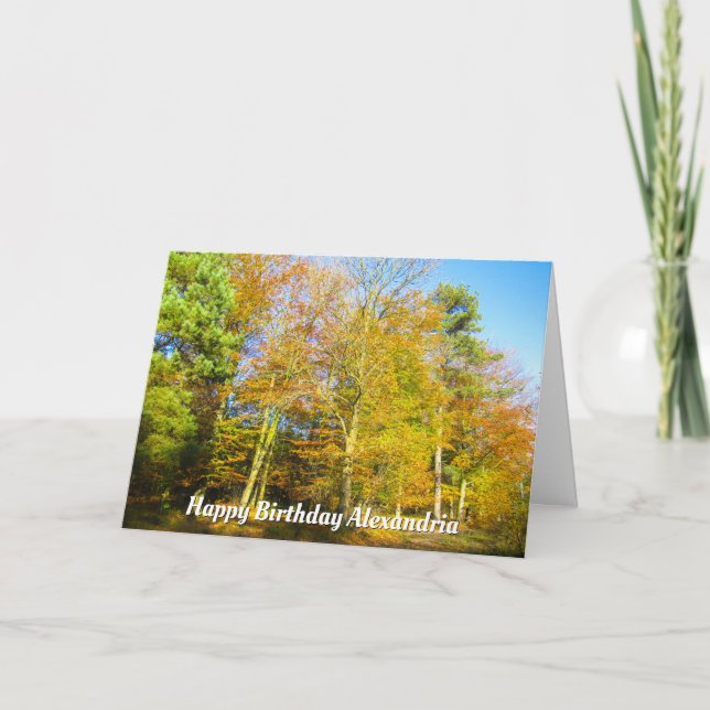 Bois d'automne et soleil - Carte d'anniversaire pe (Devant)