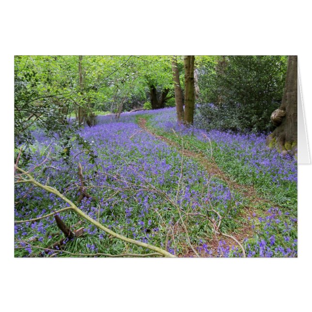 Bois de Bluebell (Devant horizontal)
