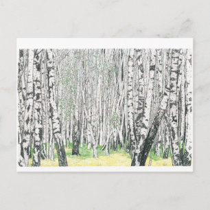 Bois de bouleau d'argent - Carte postale