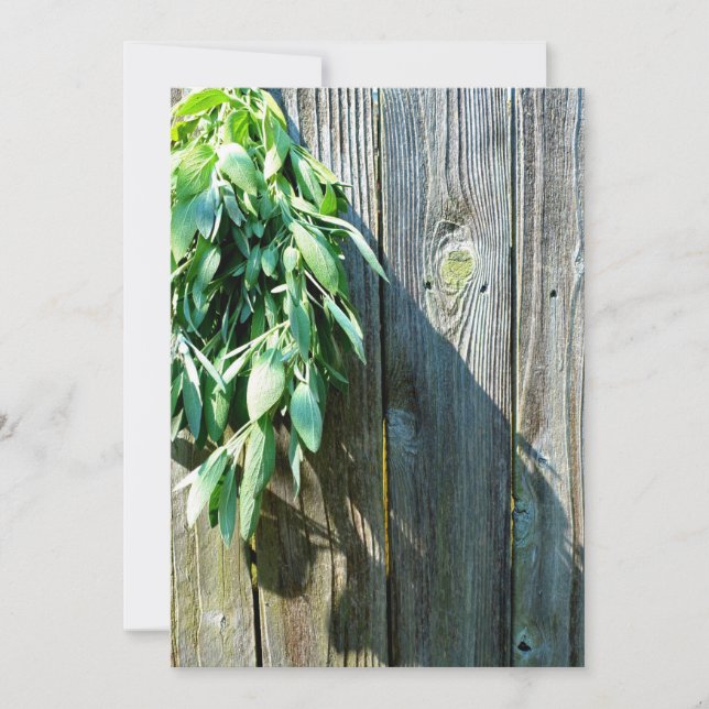 Bois de Grange frais coupé (Devant)