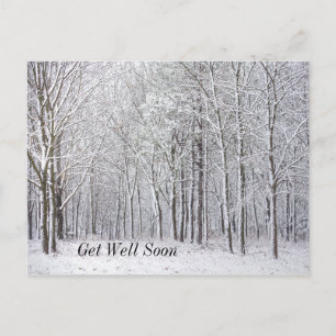 Bois enneigés Bon rétablissement Carte postale