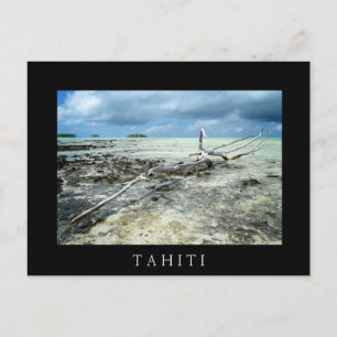 Bois mort dans le Pacifique carte postale en texte