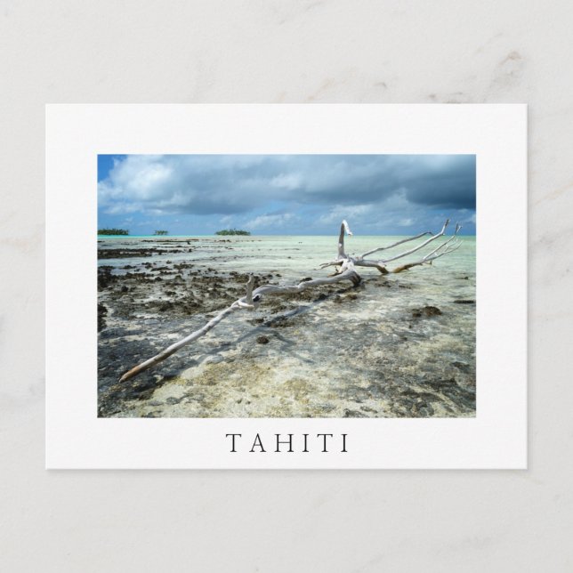 Bois mort en Tahiiti carte postale en texte blanc (Devant)