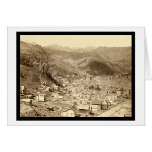 Bois mort vu de l'écart-type 1888 d'Engleside