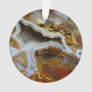 Bois pétrifié aux cristaux