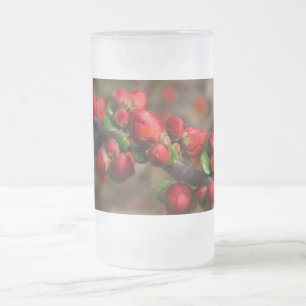 Bois rouge fleurit Verre givrée Beer Mug