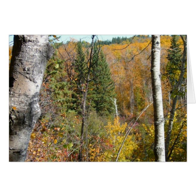 boisé (Devant horizontal)