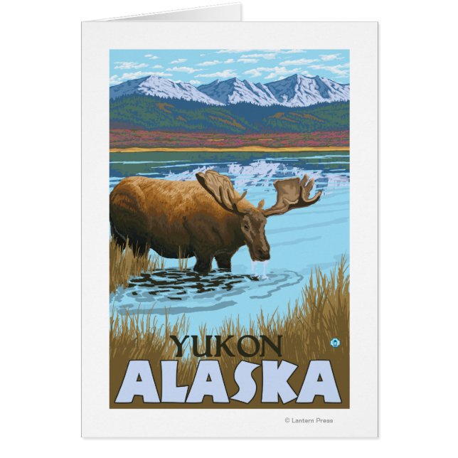 Boisson d'orignal au lac - Yukon, Alaska (Devant)