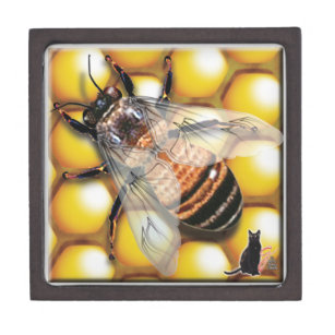 Boîte à bijoux d'abeille de miel