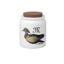 Beautiful Duck