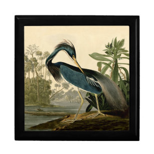 Boîte À Souvenirs Audubon Louisiana Heron Birds America Art