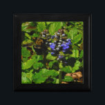 Boîte À Souvenirs Baume d'abeille pourpre et bourdon<br><div class="desc">Fleur de baume d'abeille mauve,  fleurs et bourdons jaunes et noirs Photo de Sandy Closs prise au lac Arrowhead violet,  "baume d'abeille",  fleur,  fleurs,  fleurs,  fleurs,  printemps,  cerise,  cerises,  jardin,  mariage,  mariages, </div>
