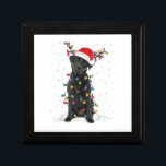 Boîte À Souvenirs Black Lab Labrador Christmas Tree Light Pyjama Chi<br><div class="desc">Black Lab Labrador Christmas Tree Light Pyjama Chien</div>