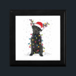 Boîte À Souvenirs Black Lab Labrador Christmas Tree Light Pyjama Chi<br><div class="desc">Black Lab Labrador Christmas Tree Light Pyjama Chien</div>