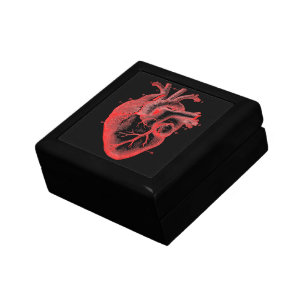 Boîte À Souvenirs Boîte à Trinette Vintage Art Noir Rouge Anatomique